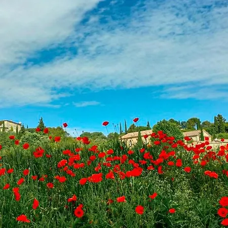 Beautiful Near Uzes Fons-sur-Lussan
